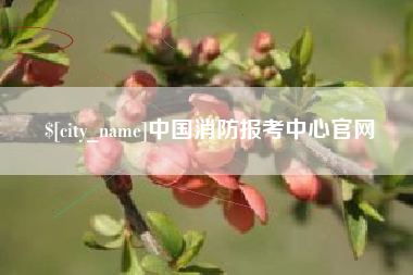 新余中国消防报考中心官网