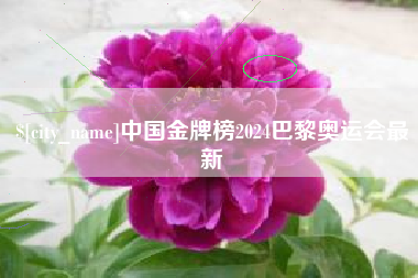 新余中国金牌榜2024巴黎奥运会最新