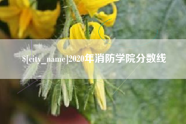 新余2020年消防学院分数线
