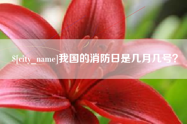新余我国的消防日是几月几号？