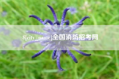 新余全国消防招考网