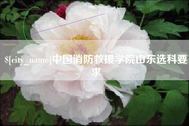 新余中国消防救援学院山东选科要求