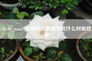 新余中国消防救援学院什么时候政审