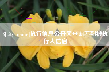新余执行信息公开网查询不到被执行人信息