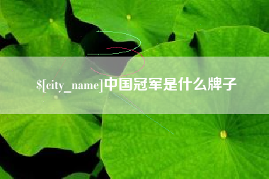 新余中国冠军是什么牌子