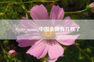 新余中国金牌有几枚了