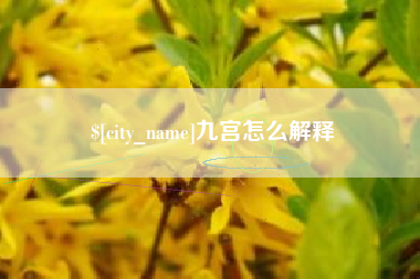新余九宫怎么解释