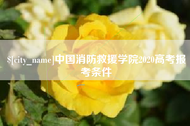 新余中国消防救援学院2020高考报考条件