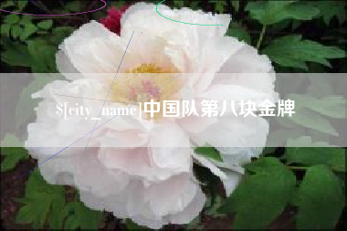 新余中国队第八块金牌
