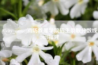 新余消防救援学院招生录取分数线2020福建