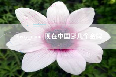 新余现在中国哪几个金牌