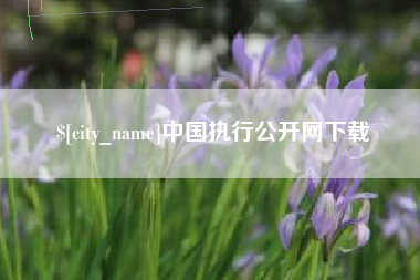 新余中国执行公开网下载