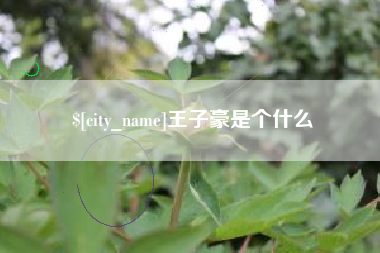 新余王子豪是个什么