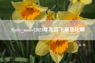新余2021年九宫飞星及化解