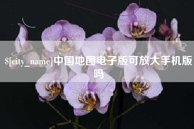 新余中国地图电子版可放大手机版吗