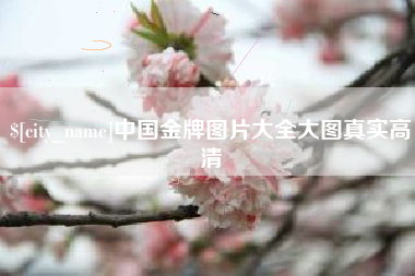 新余中国金牌图片大全大图真实高清