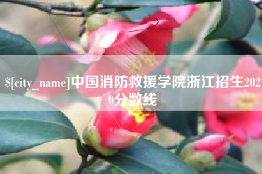 新余中国消防救援学院浙江招生2020分数线
