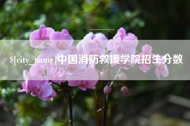 新余中国消防救援学院招生分数