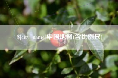 新余中国地图(含比例尺)