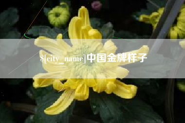 新余中国金牌样子
