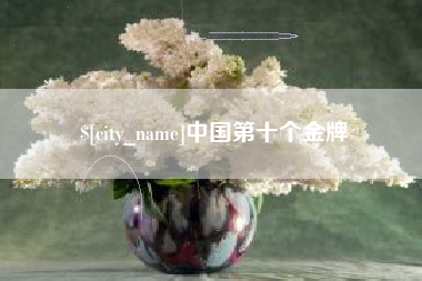 新余中国第十个金牌