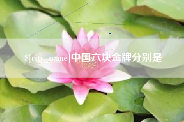 新余中国六块金牌分别是