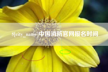 新余中国消防官网报名时间