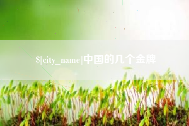 新余中国的几个金牌