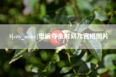 新余奥运夺金时刻九宫格图片
