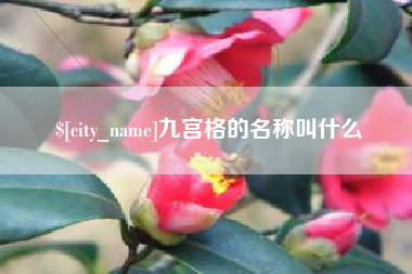 新余九宫格的名称叫什么