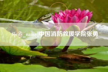 新余中国消防救援学院张勇