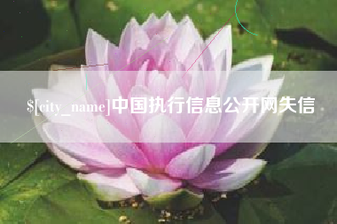 新余中国执行信息公开网失信