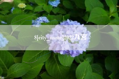 新余2022九宫
