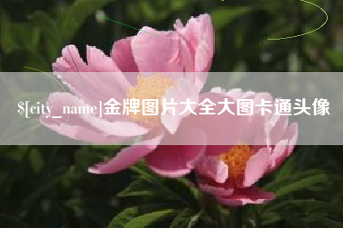 新余金牌图片大全大图卡通头像