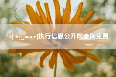 新余执行信息公开网查询免费