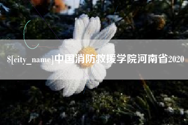 新余中国消防救援学院河南省2020